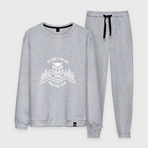 Мужской костюм Совы не то чем они кажутся / Меланж – фото 1