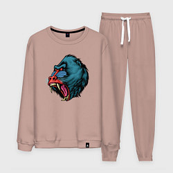 Мужской костюм Mandrill monkey