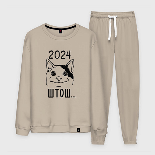 Мужской костюм 2024 - мемный кот / Миндальный – фото 1