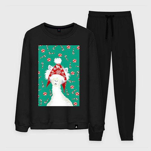 Мужской костюм Лама - альпака в ушанке / Черный – фото 1