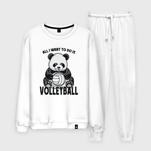 Мужской костюм Panda volleyball / Белый – фото 1