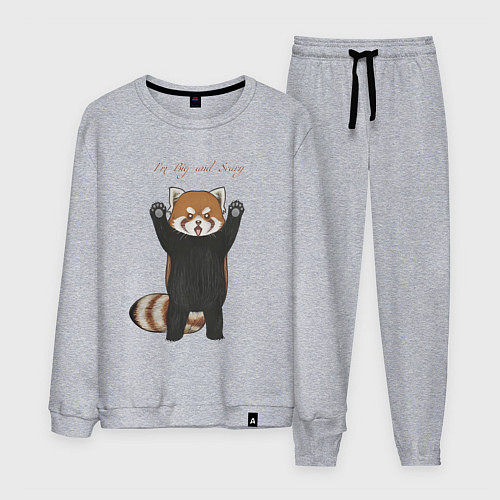 Мужской костюм Im big and scary красная панда / Меланж – фото 1