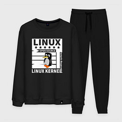 Костюм хлопковый мужской Пингвин программист системы линукс, цвет: черный
