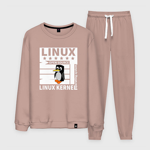Мужской костюм Пингвин программист системы линукс / Пыльно-розовый – фото 1