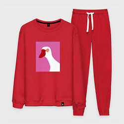 Костюм хлопковый мужской Hypno-goose, цвет: красный