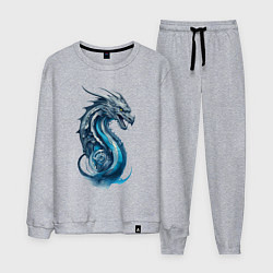 Костюм хлопковый мужской Живописный дракон, цвет: меланж