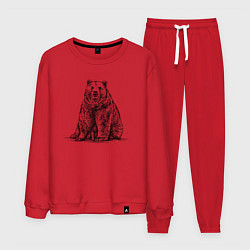 Костюм хлопковый мужской Медведь сидящий, цвет: красный