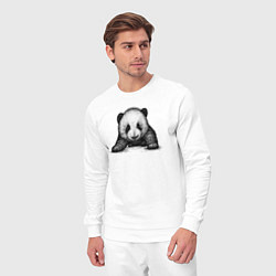 Костюм хлопковый мужской Панда детеныш, цвет: белый — фото 2