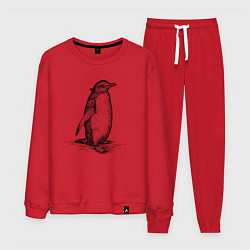 Костюм хлопковый мужской Императорский пингвиненок, цвет: красный