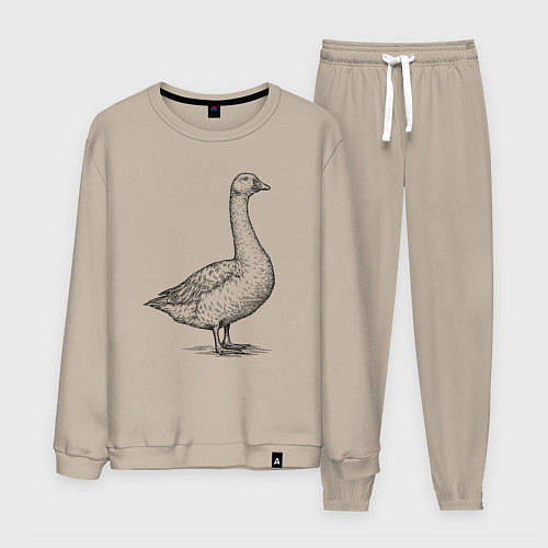 Мужской костюм Гусь в профиль / Миндальный – фото 1