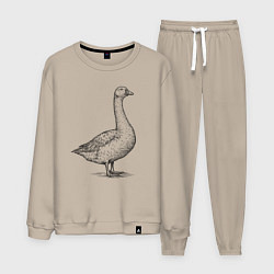Костюм хлопковый мужской Гусь в профиль, цвет: миндальный