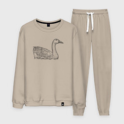 Мужской костюм Гусь плавает