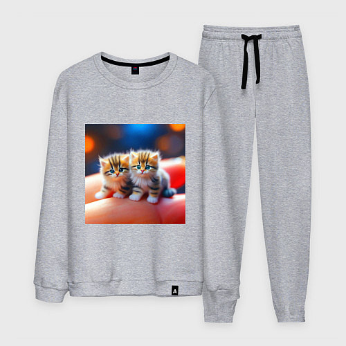 Мужской костюм Два милых пушистых котика сидят на ладони / Меланж – фото 1