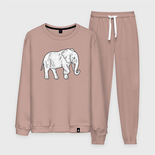 Мужской костюм Elephant / Пыльно-розовый – фото 1