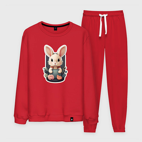 Мужской костюм Маленький пушистый кролик / Красный – фото 1