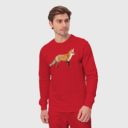 Костюм хлопковый мужской Рыжая идущая лиса, цвет: красный — фото 2