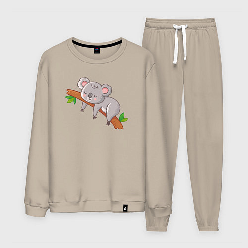 Мужской костюм Коала спит на ветке / Миндальный – фото 1