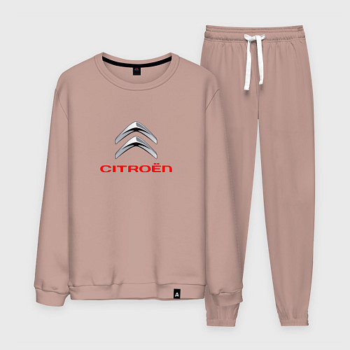Мужской костюм Citroen авто спорт / Пыльно-розовый – фото 1
