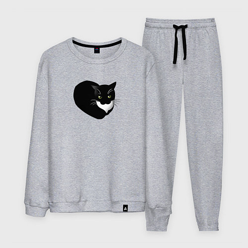 Мужской костюм Кот Максвел / Меланж – фото 1