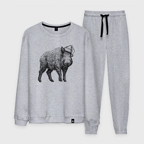 Мужской костюм Кабан в новогоднем колпаке / Меланж – фото 1