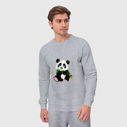 Костюм хлопковый мужской Красивый медведь панда, цвет: меланж — фото 2