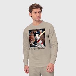 Костюм хлопковый мужской Bull terrier - New York yankees baseball team, цвет: миндальный — фото 2