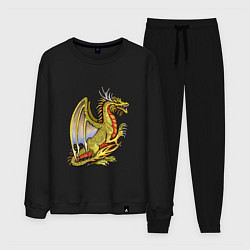 Костюм хлопковый мужской HOMM3 gold dragon, цвет: черный