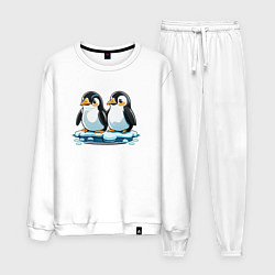 Мужской костюм Два пингвина на льдине