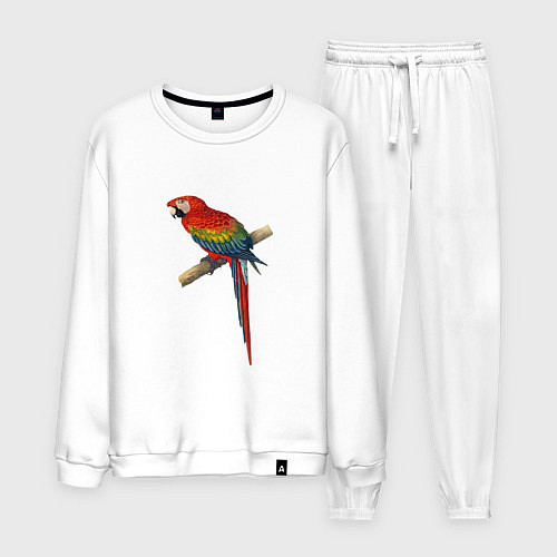 Мужской костюм Попугай ara macaw / Белый – фото 1