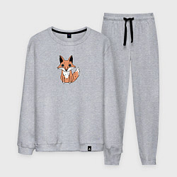 Костюм хлопковый мужской Упоротая лиса, цвет: меланж