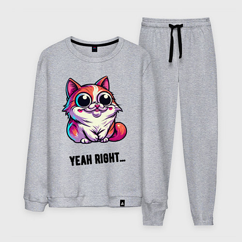 Мужской костюм Саркастически улыбающийся кот / Меланж – фото 1