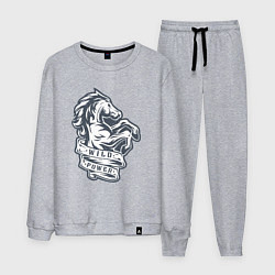 Костюм хлопковый мужской Мустанг - дикая энергия, цвет: меланж
