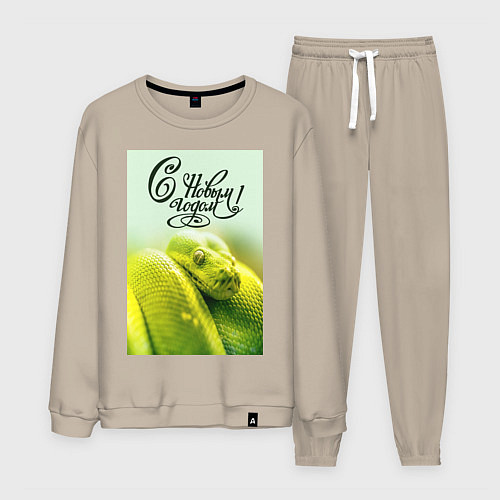 Мужской костюм Символ 2025 года зеленая змея и надпись: с новым г / Миндальный – фото 1