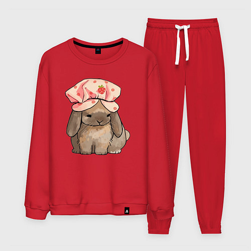 Мужской костюм Кролик в шапке / Красный – фото 1