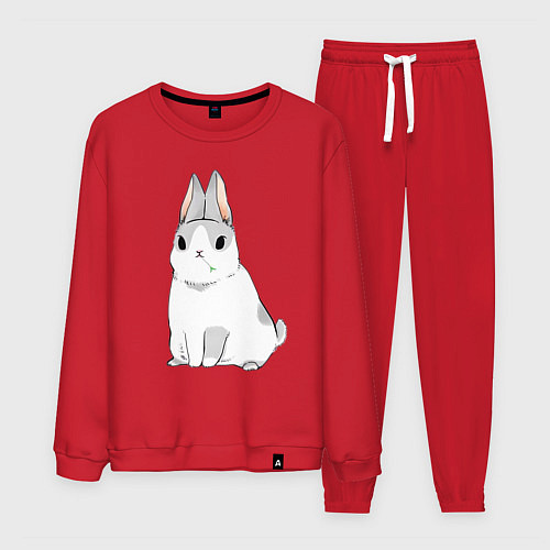 Мужской костюм Кролик жует траву / Красный – фото 1