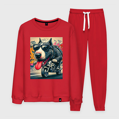 Мужской костюм Бультерьер управляет мотоциклом - граффити / Красный – фото 1