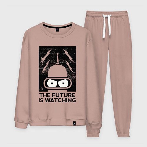 Мужской костюм Бендер - будущее наблюдает / Пыльно-розовый – фото 1