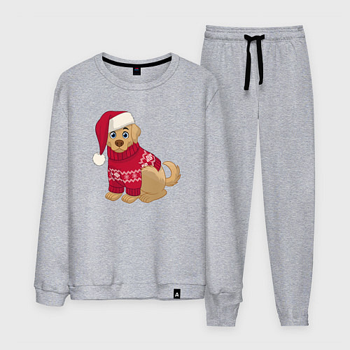 Мужской костюм Собачка в новогоднем свитере / Меланж – фото 1