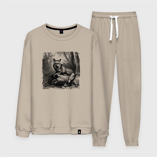 Мужской костюм Отдыхающая лиса / Миндальный – фото 1