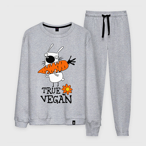 Мужской костюм True vegan (истинный веган) / Меланж – фото 1
