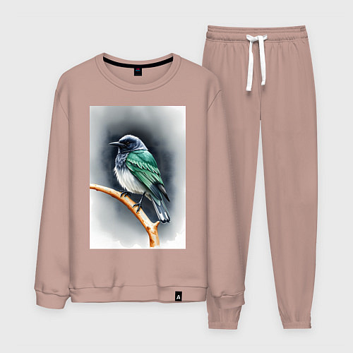 Мужской костюм Птичка на ветке / Пыльно-розовый – фото 1