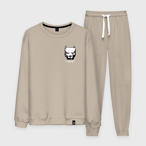 Мужской костюм Питбуль воин - страха нет рунами / Миндальный – фото 1