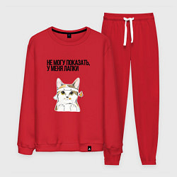 Мужской костюм Не могу показать у меня лапки