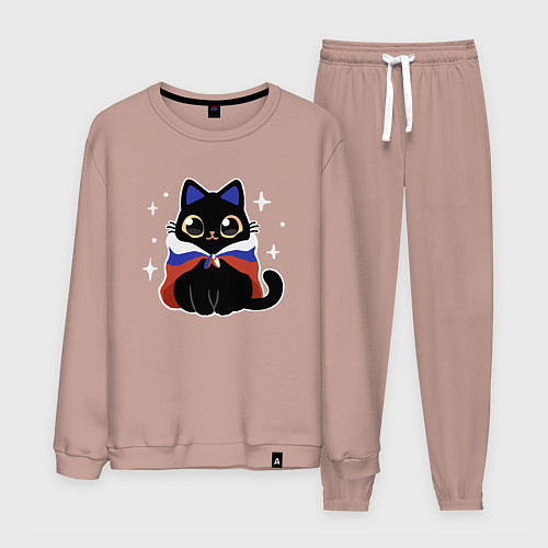 Мужской костюм Кот с флагом / Пыльно-розовый – фото 1