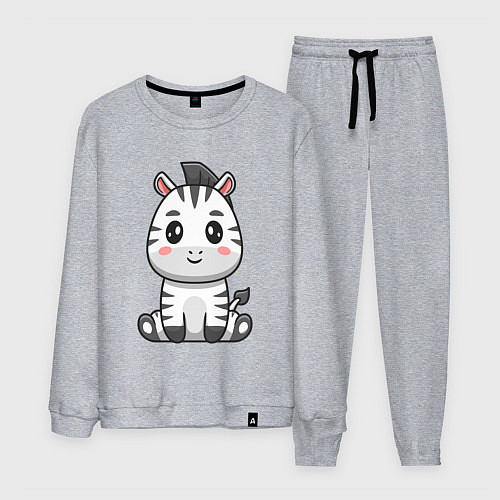 Мужской костюм Весёлая зебра / Меланж – фото 1