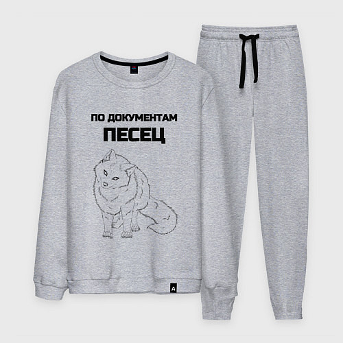 Мужской костюм По документам песец / Меланж – фото 1