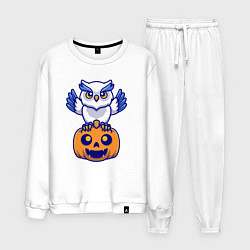 Мужской костюм Halloween owl