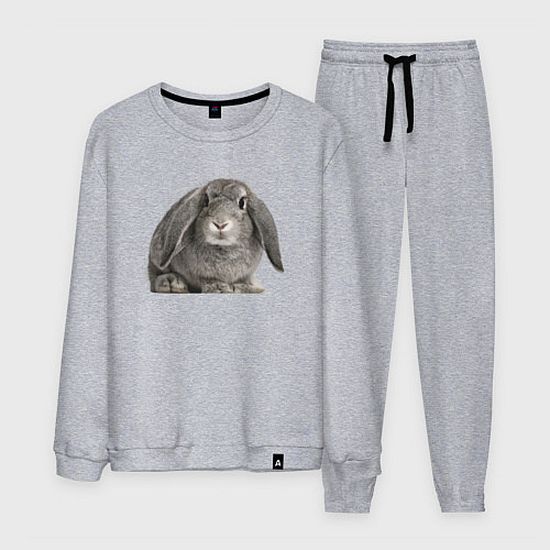 Мужской костюм Серый пушистый кролик / Меланж – фото 1