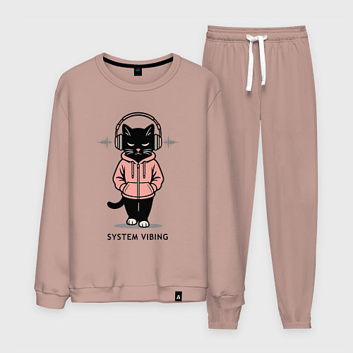 Мужской костюм Sigma cat 3 / Пыльно-розовый – фото 1