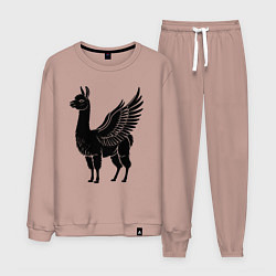 Костюм хлопковый мужской Крылатая альпака, цвет: пыльно-розовый